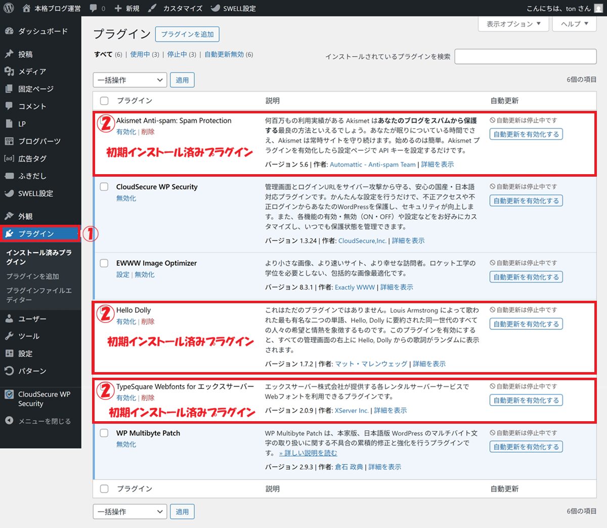 「プラグイン」画面にて、初期インストール済みプラグイン（3つ）が表示されている画面